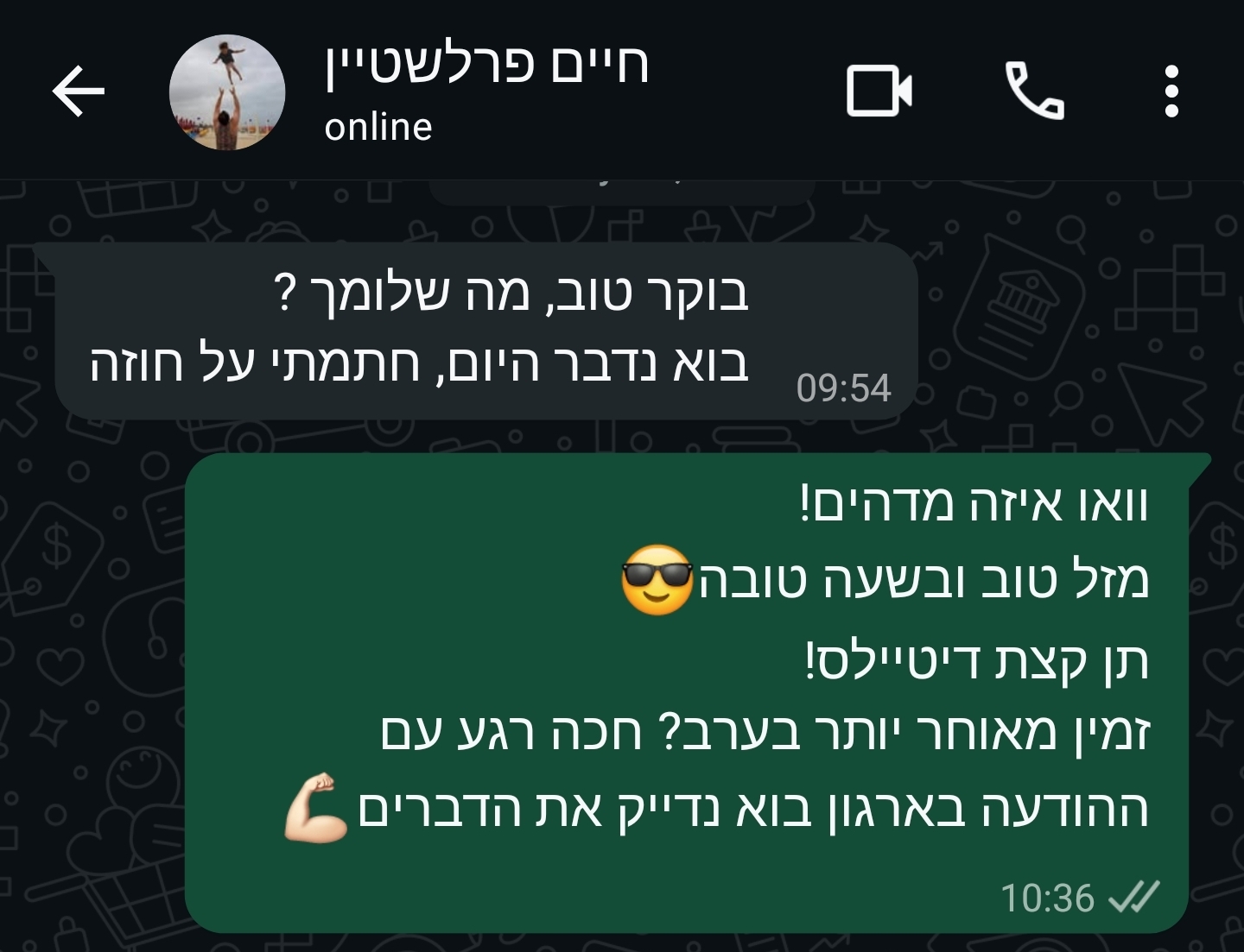 חיים פרלשטיין, Senior Project Manager